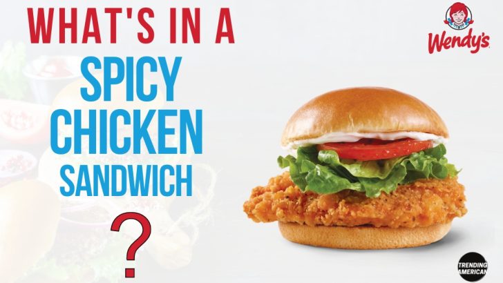 What’s in a Wendy’s Spicy Chicken Sandwich?
