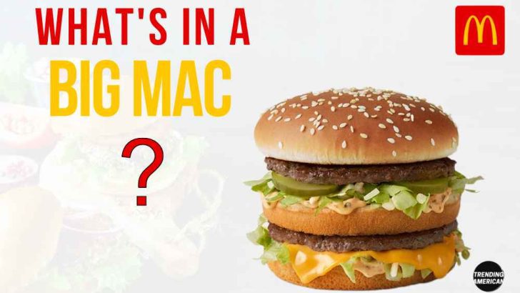 What’s in a Big Mac?