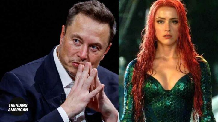 Elon Musk Threatens Warner Bros. To Keep Amber Heard In The Aquaman 2