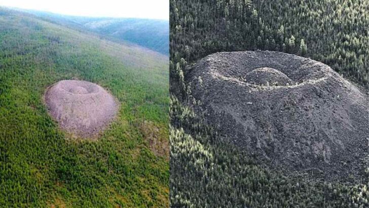 Shocking Details Of The Patomskiy Crater In Siberia’s Forest | Story Behind The Giant Crater and Its Unusually Growing Trees!