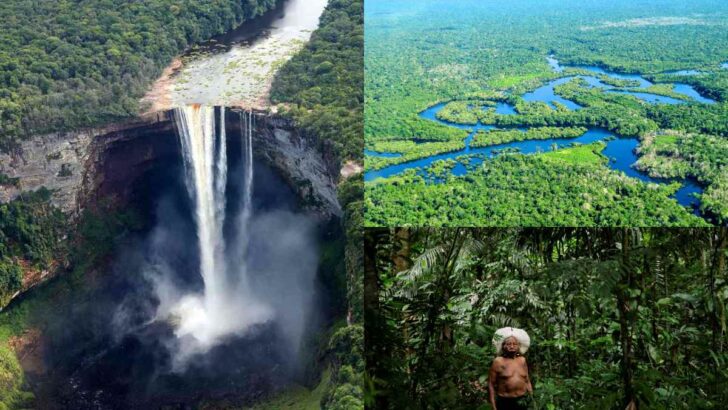 Shocking Discovery Of A 2,500-Year-Old Lost City In The Amazon Rainforest!