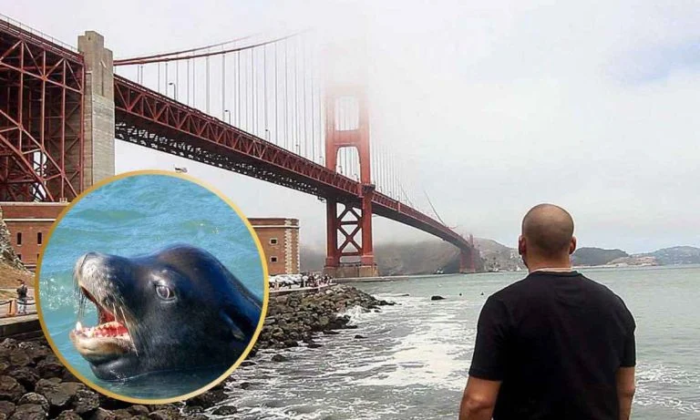 A 'Sea Lion' Saved This Man From Drowning | Kept Him Afloat Until Rescuers Came!