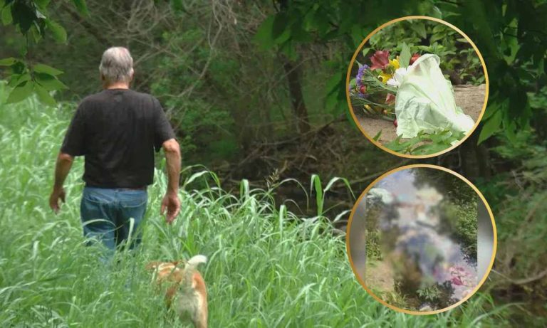 Dozens Of Dogs Found Dead In Austin Creek!
