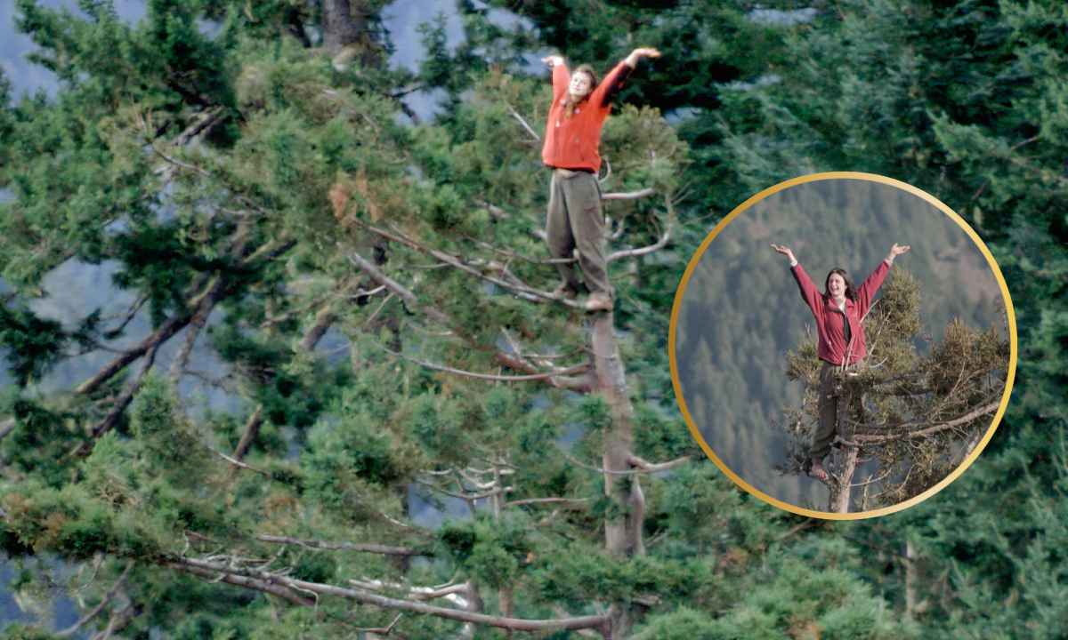 This Girl Lived 738 Days On A Tree | Unbelievable Stay In A 180-foot Tall Tree!