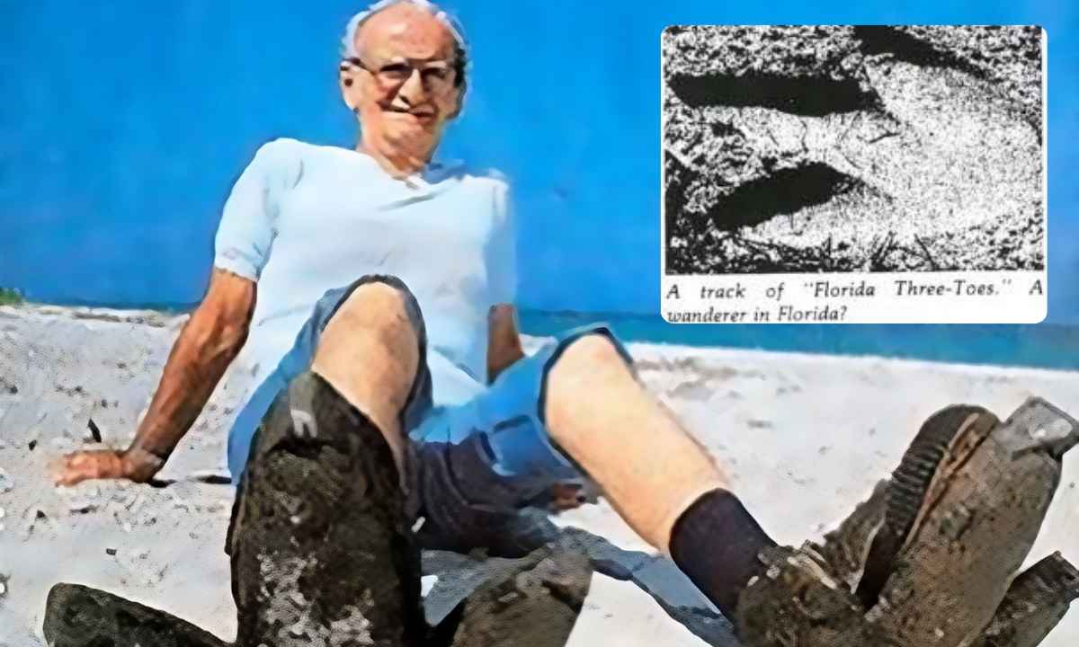 This Man Pranked People With 15-foot Penguin Footprints He Did It For 10 Years!