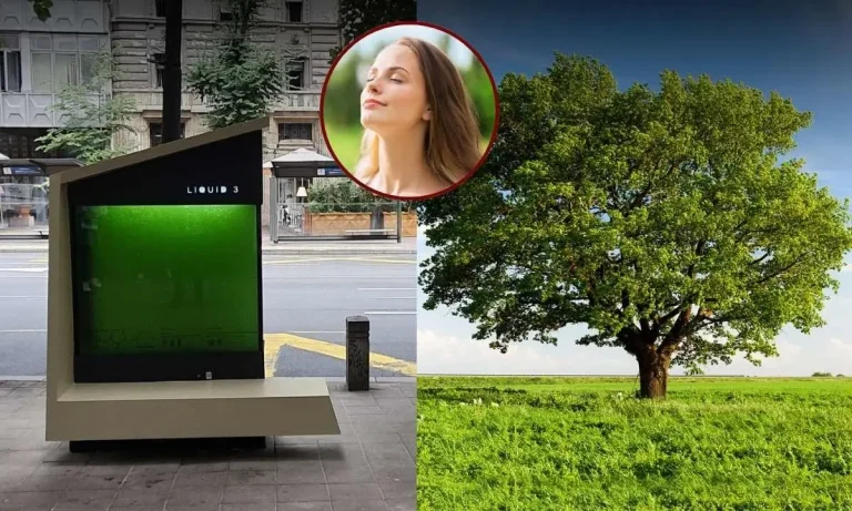 Liquid Trees: An Alternative to Trees | Absorbing Carbon Dioxide and Providing Clean Air!