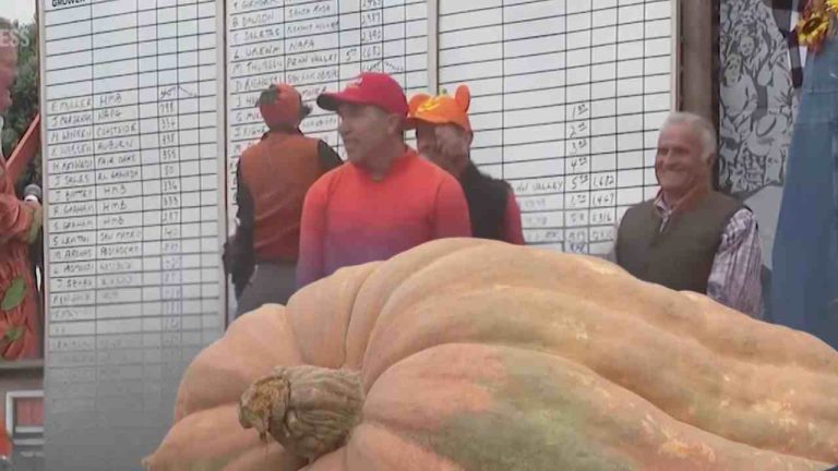 Meet “Rudy”, the $22,000 Pumpkin