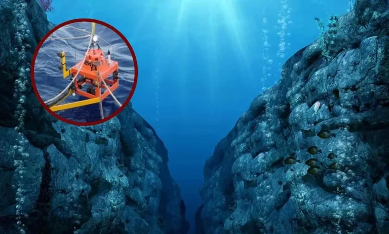 Scientists Record Sounds In The Mariana Trench | Ocean's Deepest Point Is Noisy!