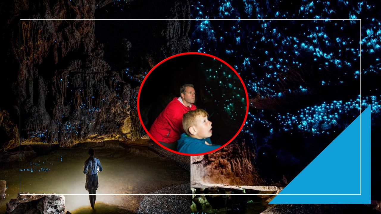 Waitomo Glowworm Cave