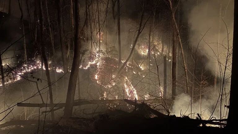 State of Emergency in Western NC Due to Spreading Wildfires