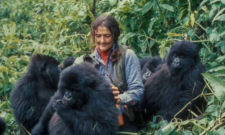 Dian Fossey Story Of The Guardian of Mountain Gorillas And Her Mysterious Death! (1)