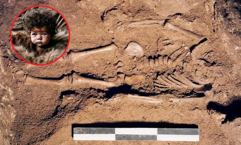 Egg-laying Mammal Thought To Be Extinct Has Been Rediscovered! (2)