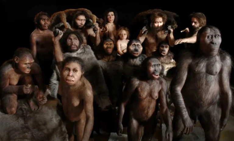 Humans Nearly Went Extinct Over 900,000 Years Ago And Only 1280 Repopulated The Earth!