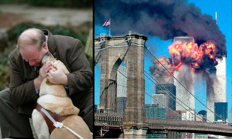 This Heroic Dog Saved A Blind Man By Helping Him Escape 911 Attack On the World Trade Center!