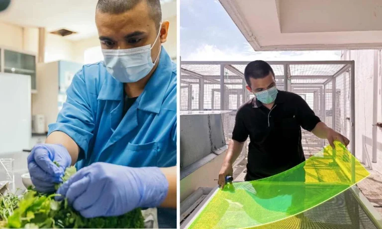This Student's Solar Panels Turn Food Waste into Power!