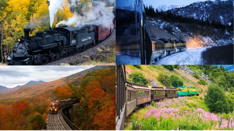 Four scenic train rides in the USA passing through fall foliage, snowy mountains, and wildflower valleys