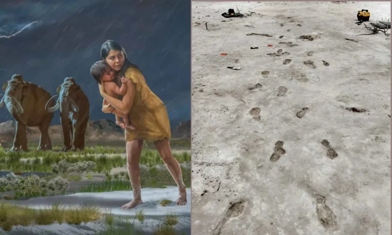 1.5 Kilometers Long Footprints Reveal An Incredible Story Of Mother and Child's Journey During Ice Age!