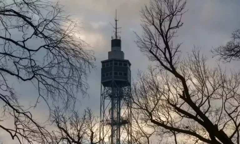 Trees Near Cell Phone Towers Are Showing Extreme Levels Of Damage!