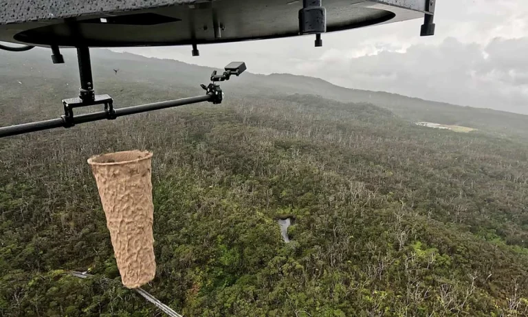 Drones Drop Thousands of Lab-Raised Mosquitoes Over Islands In Hawaii!