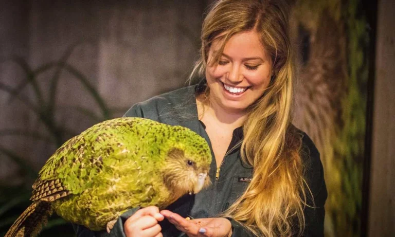 Flightless Bird That Freezes When Scared, and Lives For Over 100 Years!