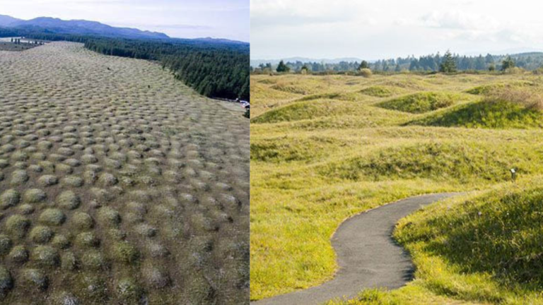 Mima Mounds