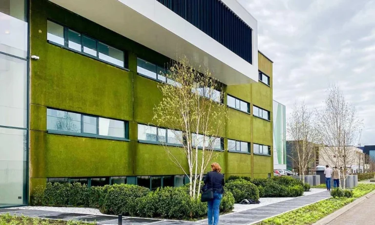 Dutch Engineers Made "Living Bricks" That Purify Air And Cool Buildings Like Living Walls!