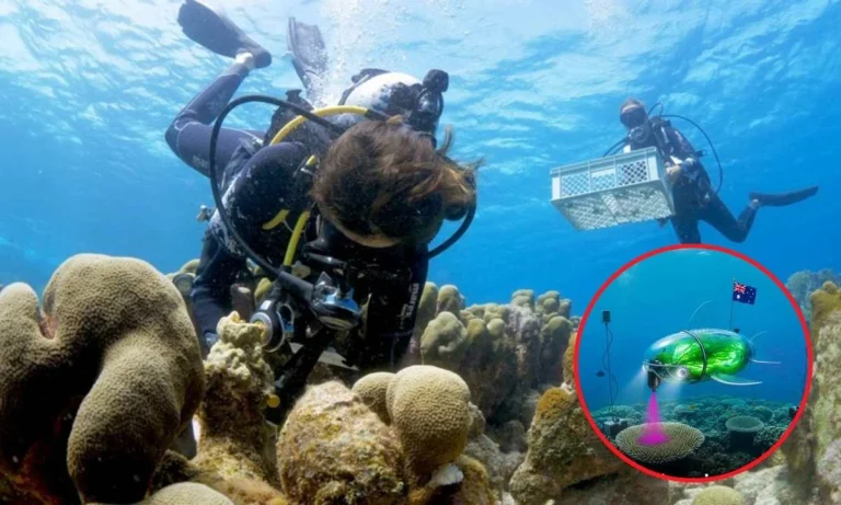 Scientists Built An Algae-Powered Robotic Fish That Prints Live Coral Reefs To Repair Reefs!