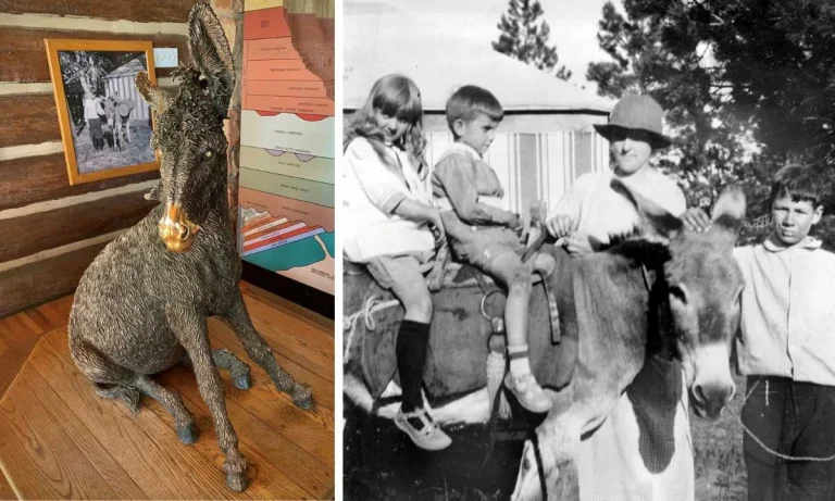 The Legendary "Brighty the Donkey" Now Lost in the Grand Canyon Fire Forever!