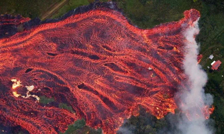 Volcanos Warn Trees Around Them Before Erupting And NASA Can See It!