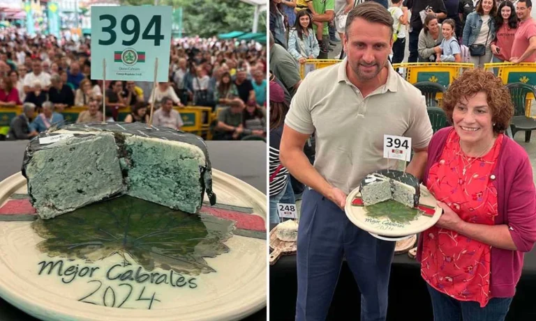 World's Most Expensive Cheese Sold at €36,000 And Aged In A Cave For 10 Months!
