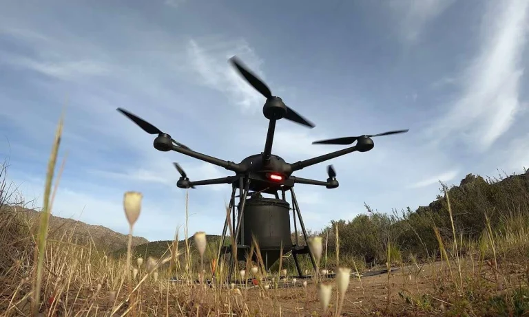 Australia Uses Drones To Plant Over 40,000 Seeds A Day in Fire-affected Areas!