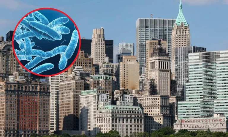 Two Dead And Over 67 Sick From Growing Legionnaires' Disease Cluster In New York City!