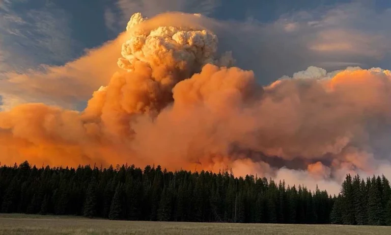 Grand Canyon ‘Megafire’ Explodes Out Of Control and Is Now Creating Its Own Weather!